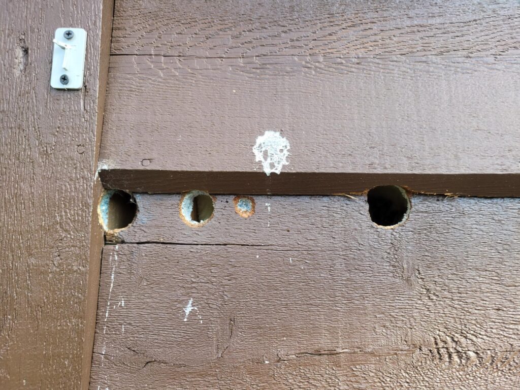 Holes in house siding with bird nesting material, representing one of our pest control services.