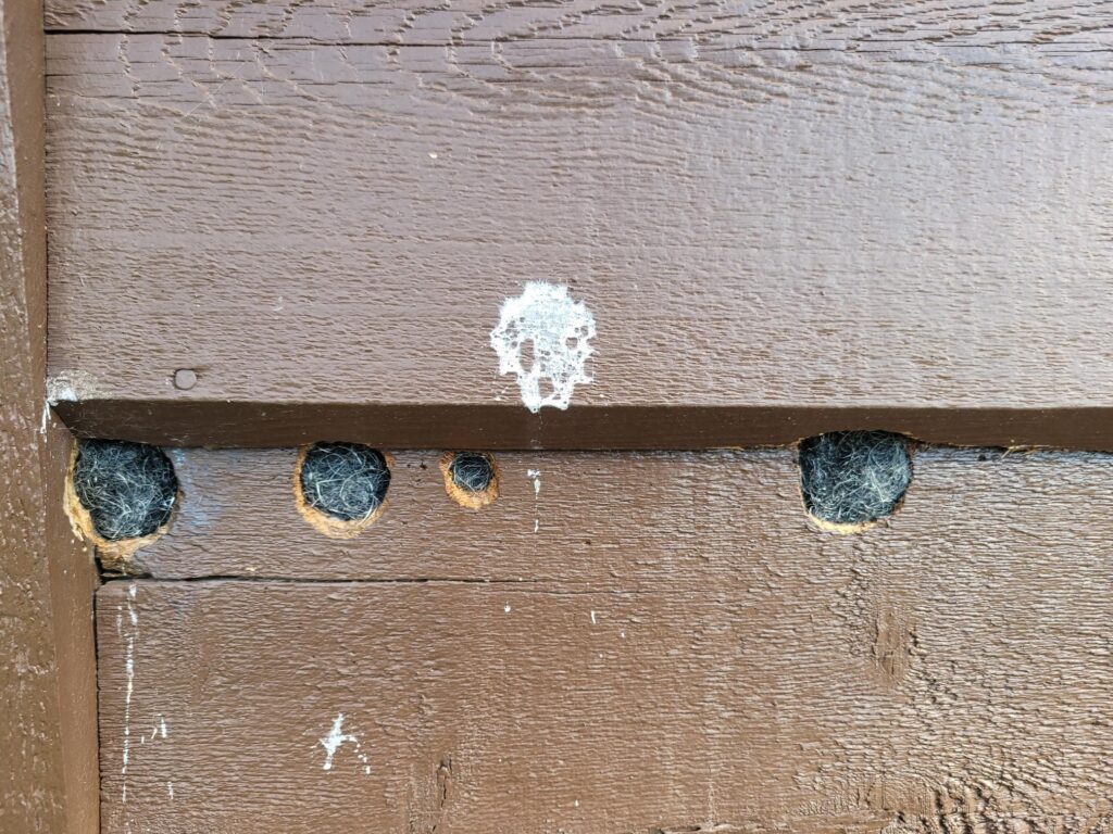Holes in house siding with bird nesting material, representing one of our pest control services.