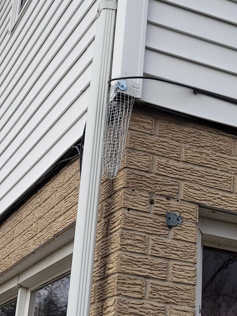 Wire mesh basket attached to a downspout, representing our wildlife control services.