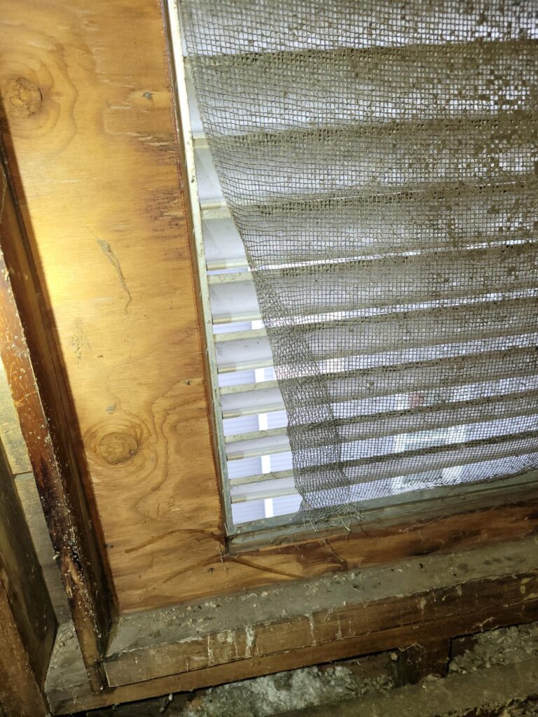 Damaged window screen with visible wooden frame in attic space, representing our wildlife control services.