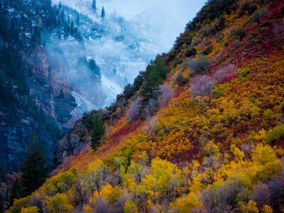 A mountain slope with trees in Fall colors and a second mountain slope in the background with snow, representing the pest control preparations for different seasons.