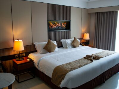 Bedbugs: Finding Them, Getting Rid of Them and Keeping Them Out