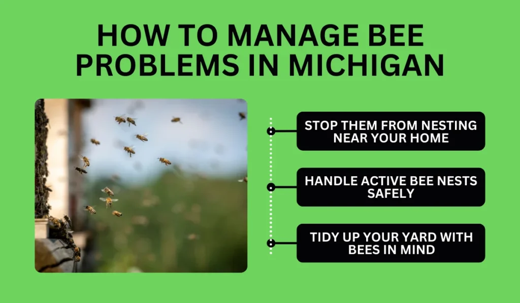 How to Manage Bee Problems in Michigan