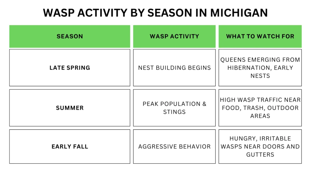 Wasp Activity by Season in Michigan
