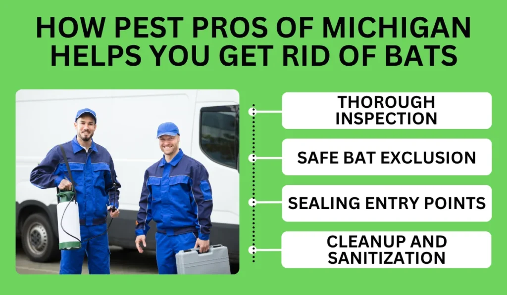 How Pest Pros of Michigan helps you get rid of bats