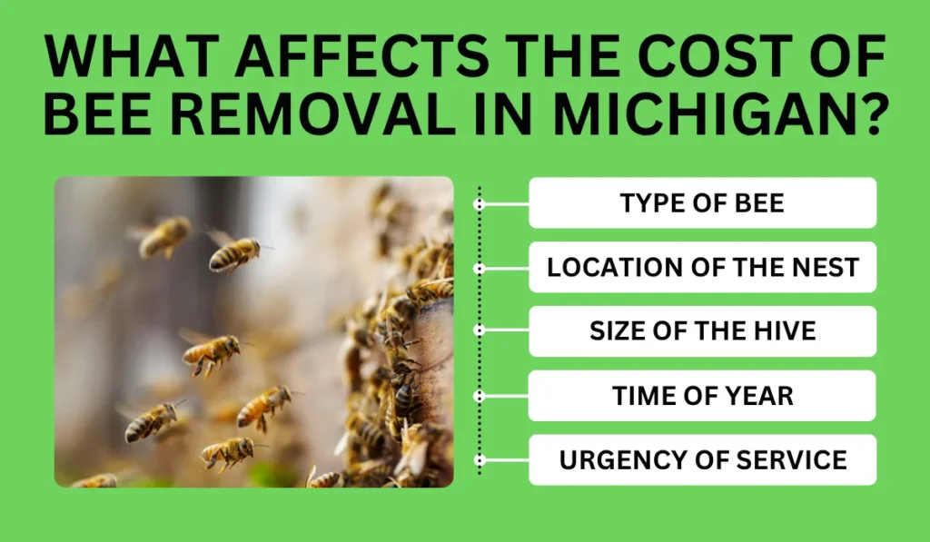 What Affects the Cost of Bee Removal in Michigan