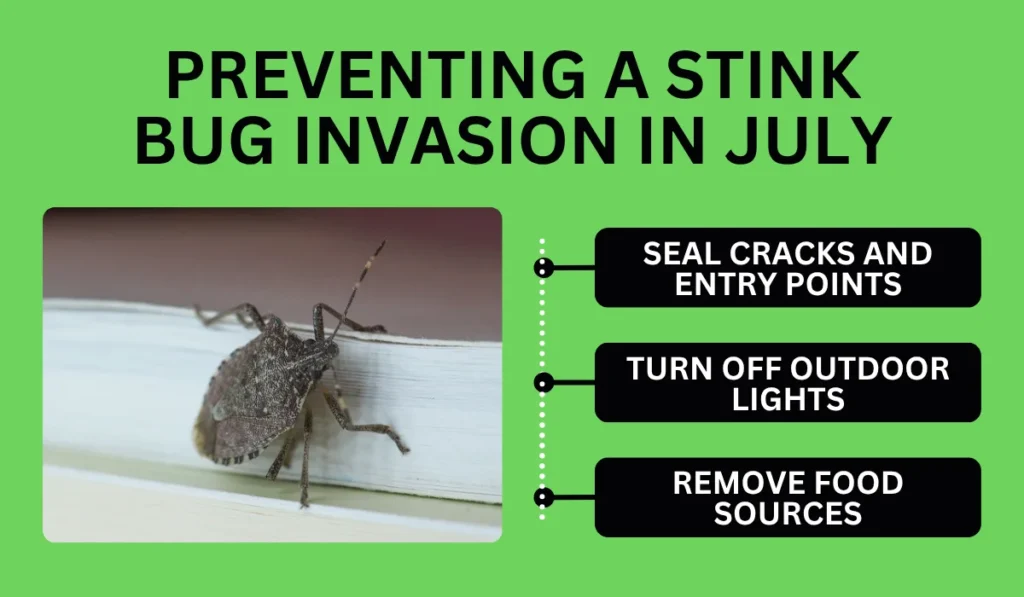 Preventing a Stink Bug Invasion in July