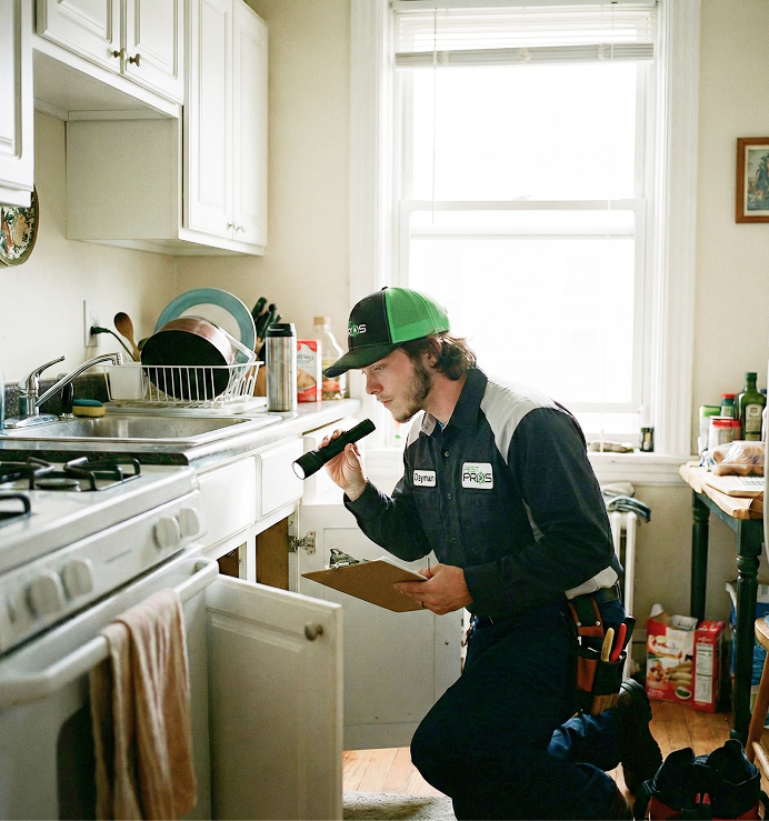 Apartment Pest Control